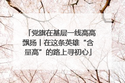 党旗在基层一线高高飘扬丨在这条英雄“含量高”的路上寻初心